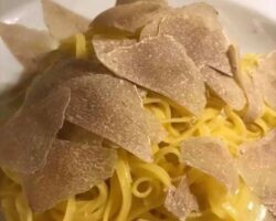 123536601_3672639866134145_7338353484872270583_n